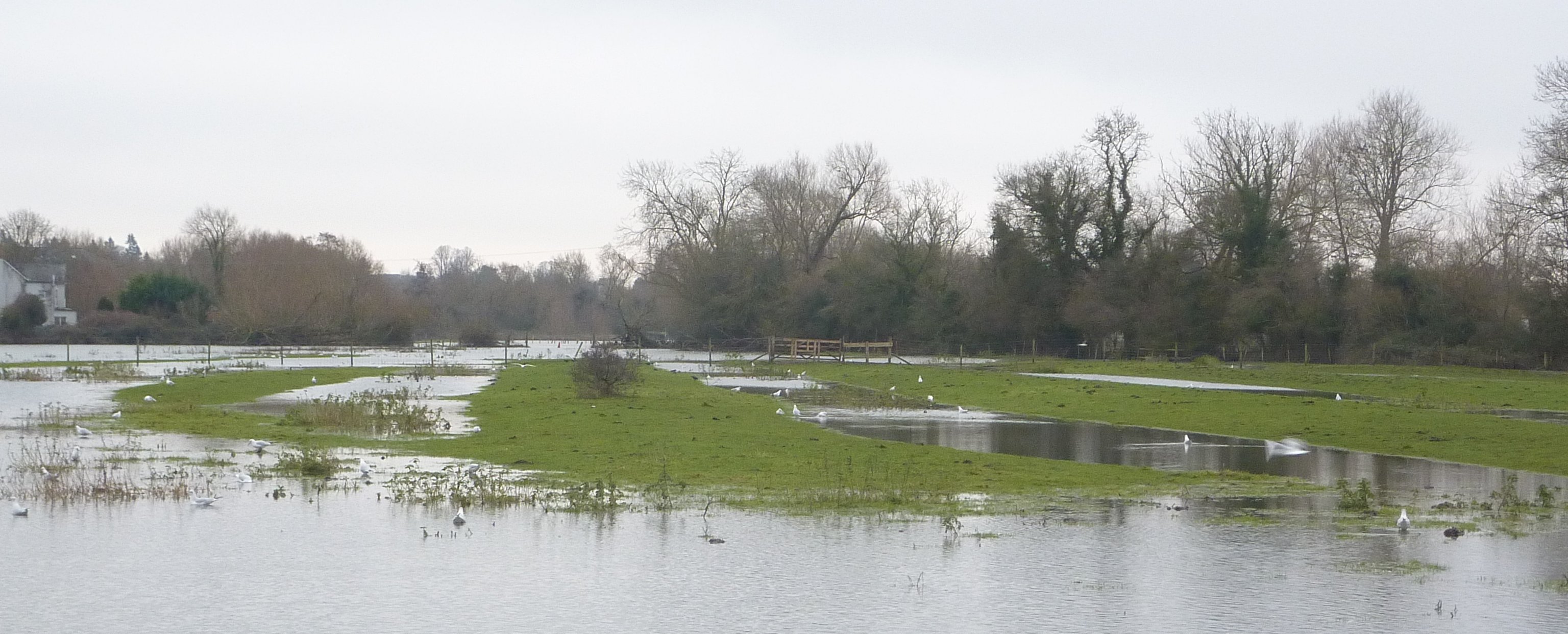 Flooding shows ridge and furrow in field behind Eastwyke farm between Abingdon Road and river 28-12-2020